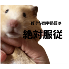 [LINEスタンプ] オネェハムスター蜂蜜