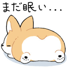 [LINEスタンプ] 我が家のコーギー[シンプル]
