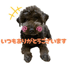 [LINEスタンプ] ラウレア4
