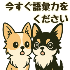 [LINEスタンプ] 推し活/敬語 推しのいるチワワの日常