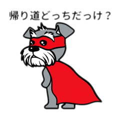 [LINEスタンプ] がんばれ！  シュナマン