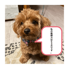 [LINEスタンプ] 新しい 犬スタンプ 2
