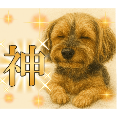 [LINEスタンプ] 垂れ耳ヨーキーROCO.4