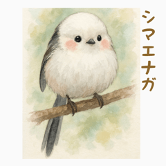 [LINEスタンプ] ふわふわシマエナガのまいにち。