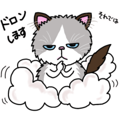 [LINEスタンプ] ラグドールもーちゃんの日常1