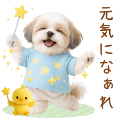 [LINEスタンプ] ポジティブな気持ちを伝えるシーズー