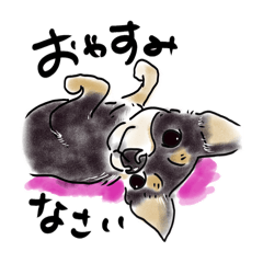 [LINEスタンプ] スムースチワワのあずきちゃん(◐ㅈ◐)
