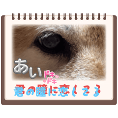 [LINEスタンプ] RoRoMi beautiful