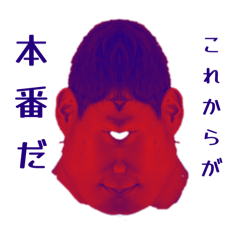 [LINEスタンプ] これからが私のシンメトリー
