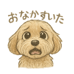 [LINEスタンプ] まろ＊愛らしすぎる毎日