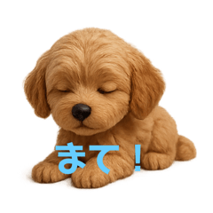 [LINEスタンプ] まろ＊まるぷー5ヶ月のきもち
