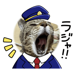 [LINEスタンプ] 奏楽のまいにち日常使い
