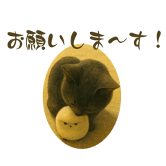 [LINEスタンプ] sinatra2025