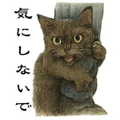 [LINEスタンプ] 表情とセリフが合わない黒猫