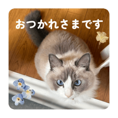 [LINEスタンプ] のえるすたんぷ！