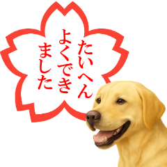 [LINEスタンプ] ラブラドールレトリバー★よくできました！