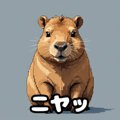 [LINEスタンプ] 40変化！ごきげんカピバラの感情祭