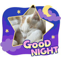 [LINEスタンプ] HARORIスタンプ①