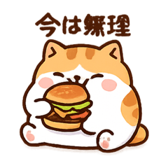 [LINEスタンプ] Cat starts dieting