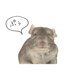 [LINEスタンプ] とうふすたんぷ  2