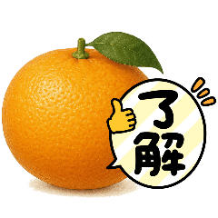 [LINEスタンプ] みかん日常使いスタンプ