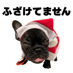 [LINEスタンプ] フレブルのレオ 2