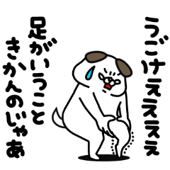[LINEスタンプ] 全力いぬそれは老いです編