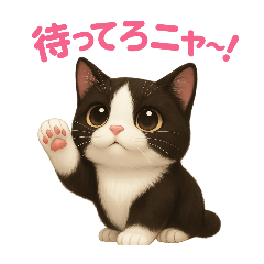 [LINEスタンプ] わが家の八割れ愛猫タッキー