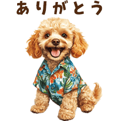 [LINEスタンプ] 夏の日常！アロハ☆トイプードル