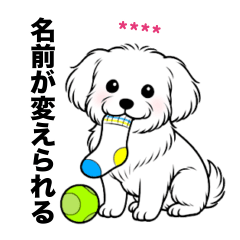 [LINEスタンプ] 名前入りマルチーズショート