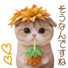 [LINEスタンプ] パイナップル帽 スコティッシュ猫 敬語ver