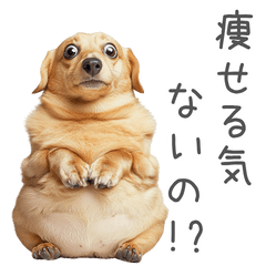 [LINEスタンプ] 太ってるダックス。