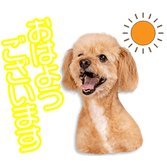 [LINEスタンプ] 山本家のシモンちゃん2