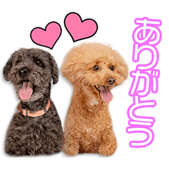 [LINEスタンプ] 吉松家のラグ＆ビーちゃん