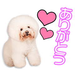 [LINEスタンプ] 祝原家のうにちゃん