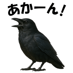 [LINEスタンプ] 関西弁のリアルなカラス@日常会話