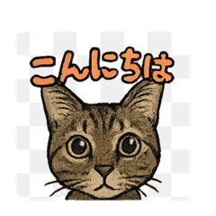 [LINEスタンプ] にゃんにゃんスタンプ（1）