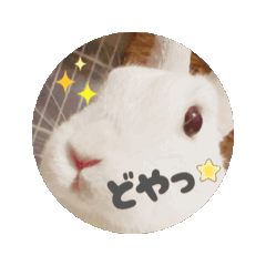 [LINEスタンプ] 上から目線の動くもちさん