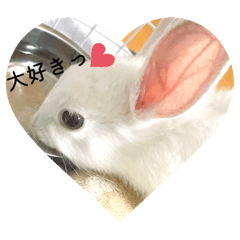 [LINEスタンプ] シンプルもっちゃん