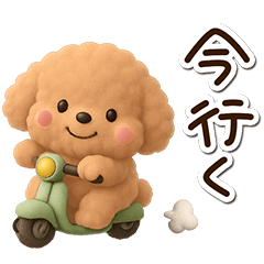 [LINEスタンプ] トイプードル「アプリコット」3D