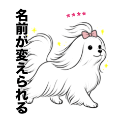 [LINEスタンプ] 名前入りマルチーズロング