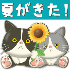 [LINEスタンプ] 毎日使える！夏の可愛いハチワレコンビ♡