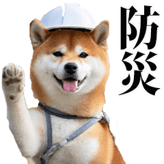 [LINEスタンプ] 防災☆柴犬