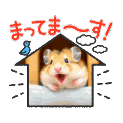 [LINEスタンプ] 動くハムちゃん 日常
