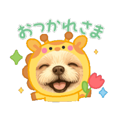 [LINEスタンプ] ぷうちゃんの遊んでスタンプ