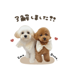 [LINEスタンプ] エマちゃん♡るなちゃんスタンダード