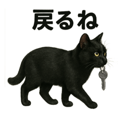 [LINEスタンプ] リアルな黒猫の日常表現LINEスタンプ