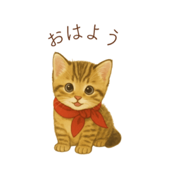 [LINEスタンプ] 子猫のとらの日常スタンプ