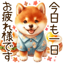 [LINEスタンプ] 感情爆発の柴犬☆彡