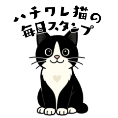 [LINEスタンプ] ハチワレ猫の毎日スタンプ